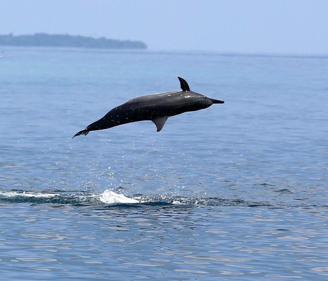 Medhufaru Inn Guraidhoo (Kaafu Atoll) Zewnętrze zdjęcie