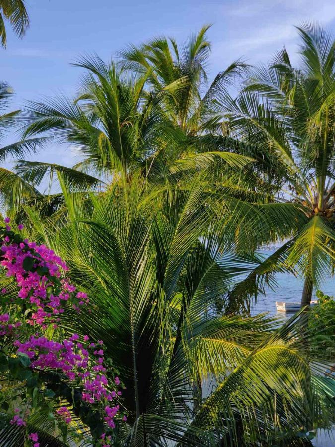 Medhufaru Inn Guraidhoo (Kaafu Atoll) Zewnętrze zdjęcie